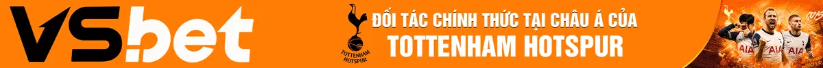 Banner VSBET